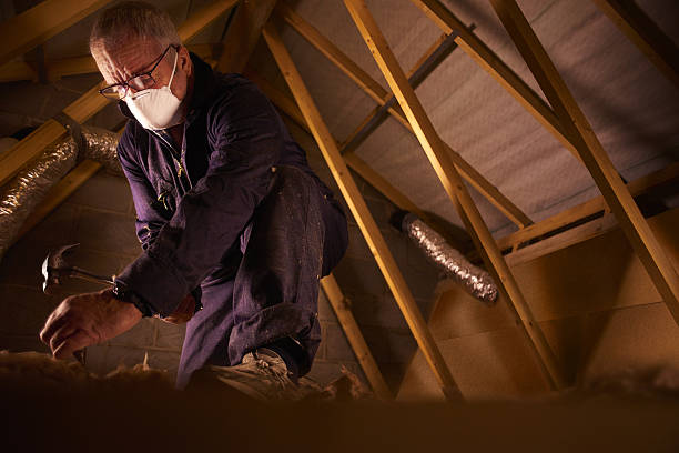 Best Residential Insulation in Pine Bush, NY